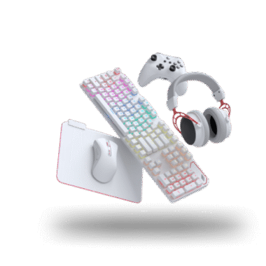 Computer Accessories